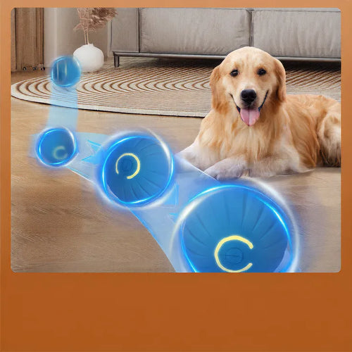 Gravity Jumping Ball Dog Toy