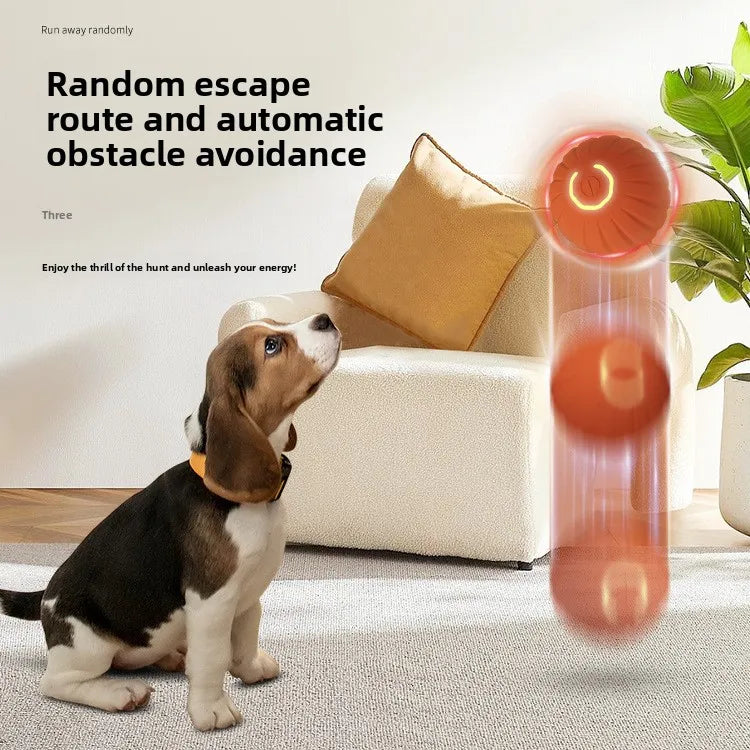Gravity Jumping Ball Dog Toy