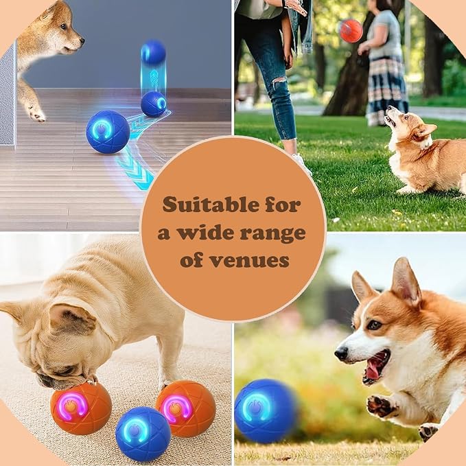 Gravity Jumping Ball Dog Toy