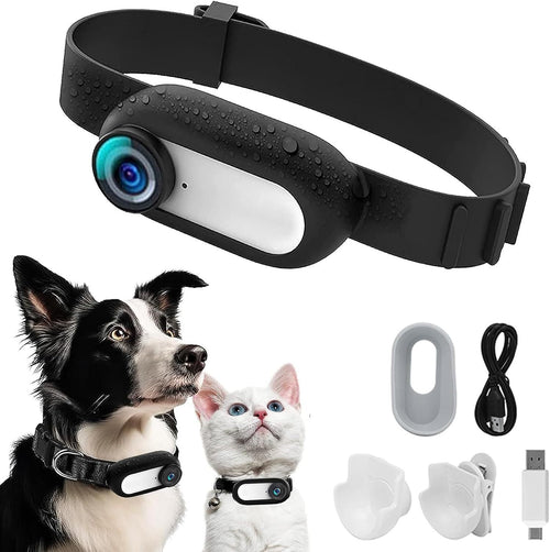 PawView pet collar camera worn by a dog and a cat, shown with charging cable, mounts and USB reader