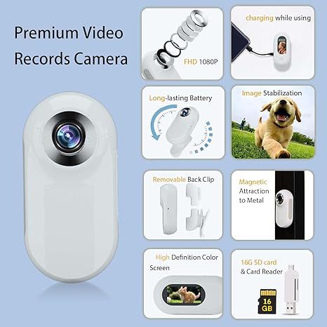 Cat wearing PawView collar camera capturing a pet's-eye view on phone