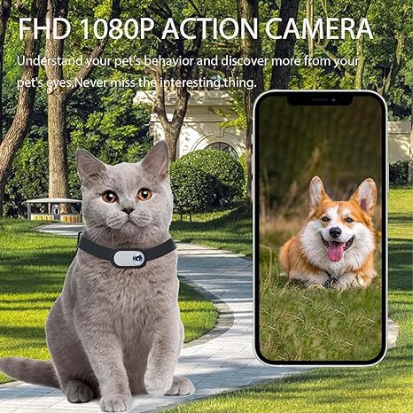 PawView collar camera key features: FHD 1080P, long battery, image stabilization, magnetic mount